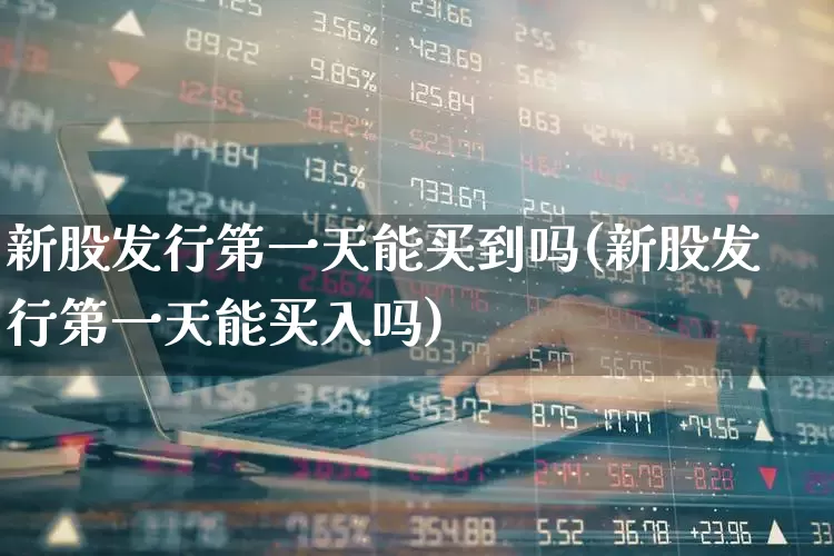 新股发行第一天能买到吗(新股发行第一天能买入吗)_https://www.wanyuyiyao.com_科创板_第1张