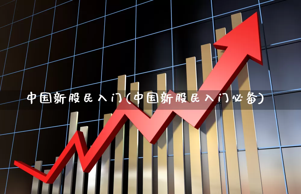 中国新股民入门(中国新股民入门必备)_https://www.wanyuyiyao.com_科创板_第1张