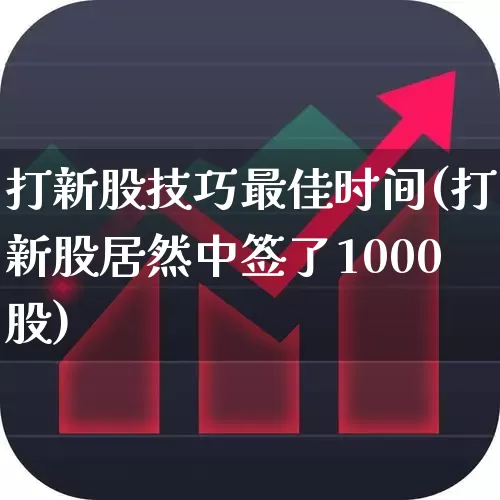 打新股技巧最佳时间(打新股居然中签了1000股)_https://www.wanyuyiyao.com_深交所_第1张
