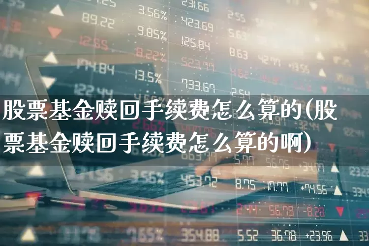股票基金赎回手续费怎么算的(股票基金赎回手续费怎么算的啊)_https://www.wanyuyiyao.com_科创板_第1张