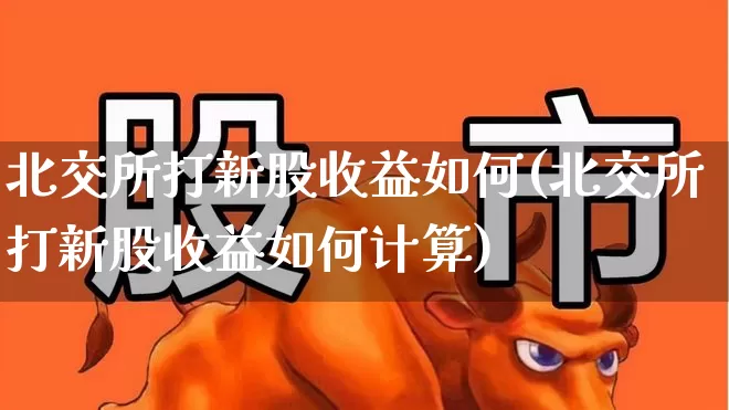 北交所打新股收益如何(北交所打新股收益如何计算)_https://www.wanyuyiyao.com_上交所_第1张