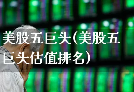 美股五巨头(美股五巨头估值排名)_https://www.wanyuyiyao.com_科创板_第1张