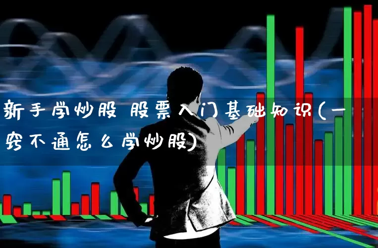 新手学炒股 股票入门基础知识(一窍不通怎么学炒股)_https://www.wanyuyiyao.com_上交所_第1张