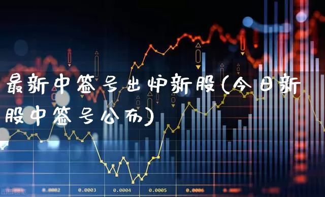 最新中签号出炉新股(今日新股中签号公布)_https://www.wanyuyiyao.com_北交所_第1张