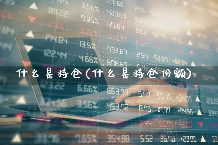 什么是持仓(什么是持仓份额)_https://www.wanyuyiyao.com_上交所_第1张