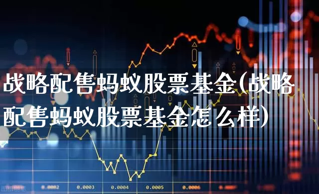 战略配售蚂蚁股票基金(战略配售蚂蚁股票基金怎么样)_https://www.wanyuyiyao.com_上交所_第1张