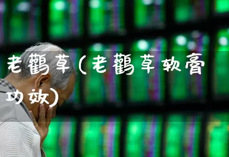 老鹳草(老鹳草软膏功效)_https://www.wanyuyiyao.com_深交所_第1张