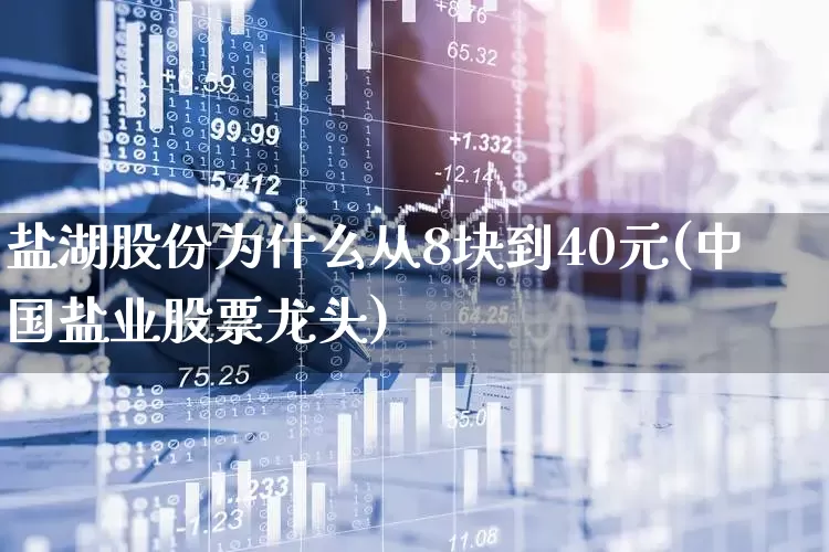 盐湖股份为什么从8块到40元(中国盐业股票龙头)_https://www.wanyuyiyao.com_深交所_第1张