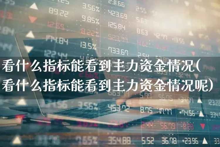 看什么指标能看到主力资金情况(看什么指标能看到主力资金情况呢)_https://www.wanyuyiyao.com_北交所_第1张