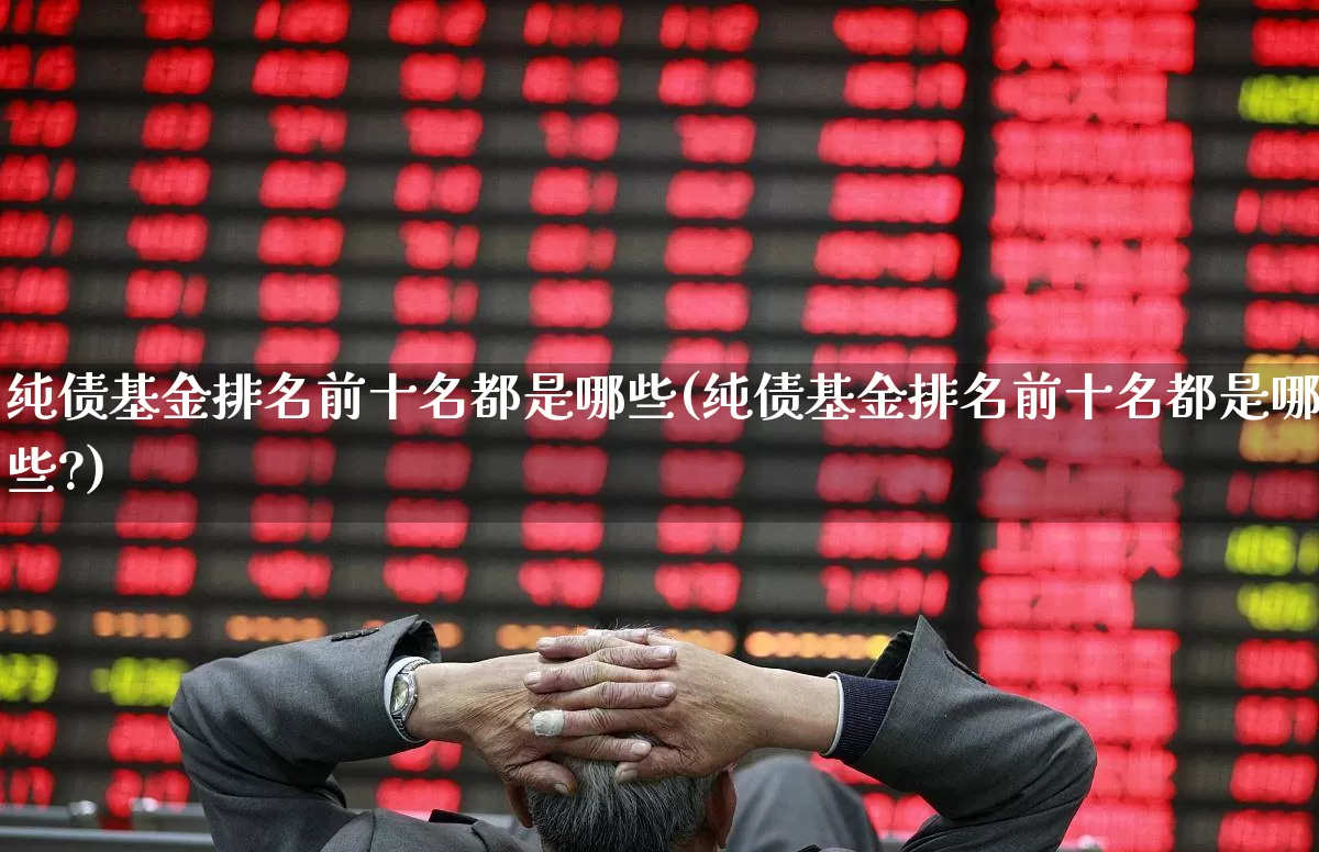纯债基金排名前十名都是哪些(纯债基金排名前十名都是哪些?)_https://www.wanyuyiyao.com_上交所_第1张