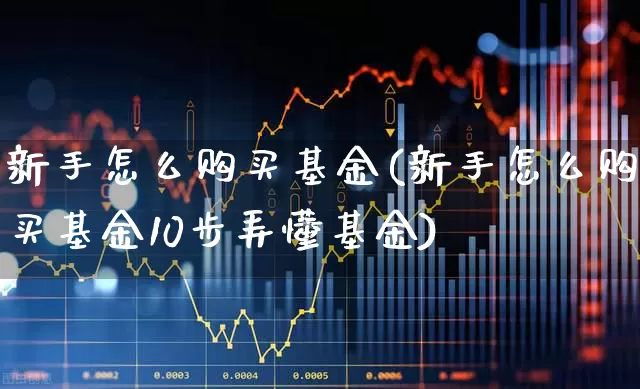 新手怎么购买基金(新手怎么购买基金10步弄懂基金)_https://www.wanyuyiyao.com_科创板_第1张