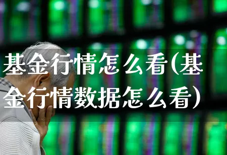 基金行情怎么看(基金行情数据怎么看)_https://www.wanyuyiyao.com_上交所_第1张