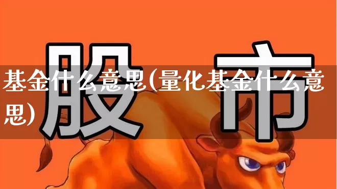 基金什么意思(量化基金什么意思)_https://www.wanyuyiyao.com_创业板_第1张