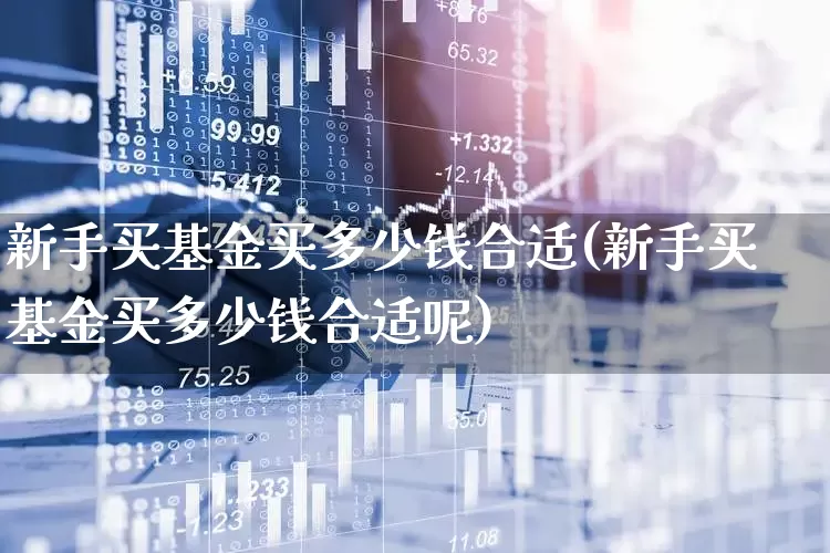 新手买基金买多少钱合适(新手买基金买多少钱合适呢)_https://www.wanyuyiyao.com_深交所_第1张
