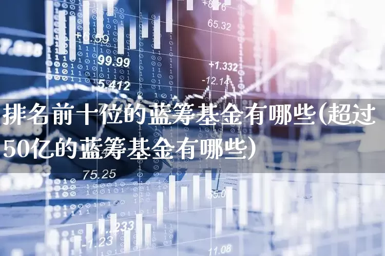 排名前十位的蓝筹基金有哪些(超过50亿的蓝筹基金有哪些)_https://www.wanyuyiyao.com_上交所_第1张