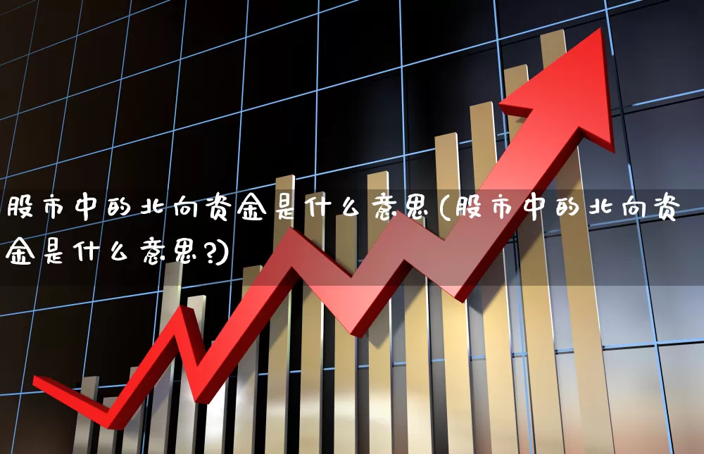 股市中的北向资金是什么意思(股市中的北向资金是什么意思?)_https://www.wanyuyiyao.com_上交所_第1张