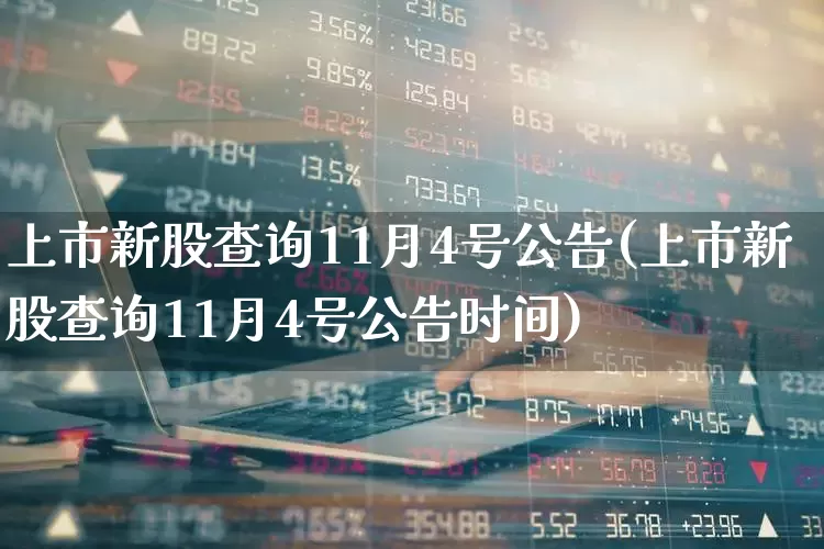 上市新股查询11月4号公告(上市新股查询11月4号公告时间)_https://www.wanyuyiyao.com_北交所_第1张