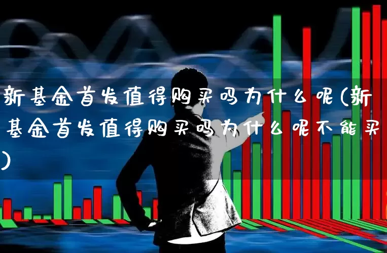 新基金首发值得购买吗为什么呢(新基金首发值得购买吗为什么呢不能买)_https://www.wanyuyiyao.com_北交所_第1张