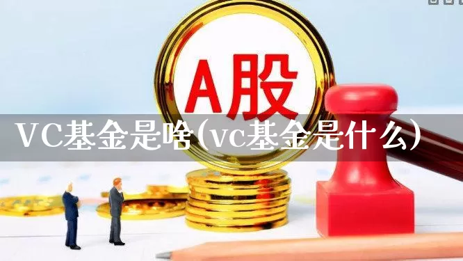 VC基金是啥(vc基金是什么)_https://www.wanyuyiyao.com_创业板_第1张