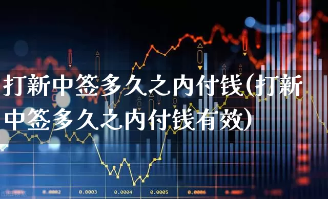打新中签多久之内付钱(打新中签多久之内付钱有效)_https://www.wanyuyiyao.com_北交所_第1张