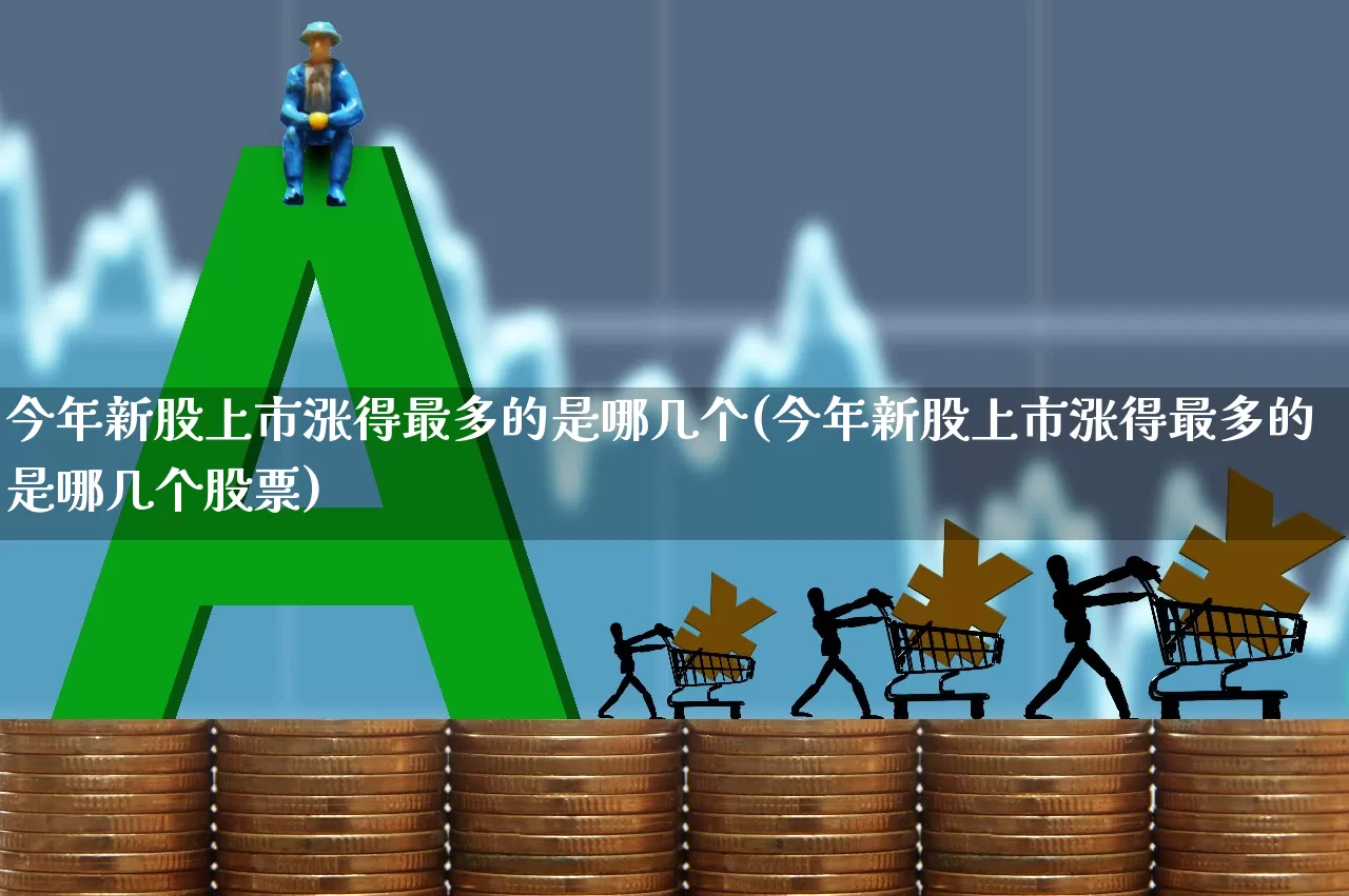 今年新股上市涨得最多的是哪几个(今年新股上市涨得最多的是哪几个股票)_https://www.wanyuyiyao.com_深交所_第1张