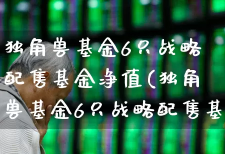 独角兽基金6只战略配售基金净值(独角兽基金6只战略配售基金净值怎么算)_https://www.wanyuyiyao.com_深交所_第1张