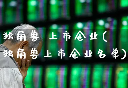 独角兽 上市企业(独角兽上市企业名单)_https://www.wanyuyiyao.com_上交所_第1张