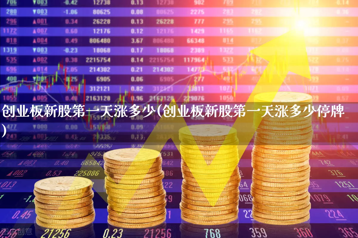创业板新股第一天涨多少(创业板新股第一天涨多少停牌)_https://www.wanyuyiyao.com_北交所_第1张