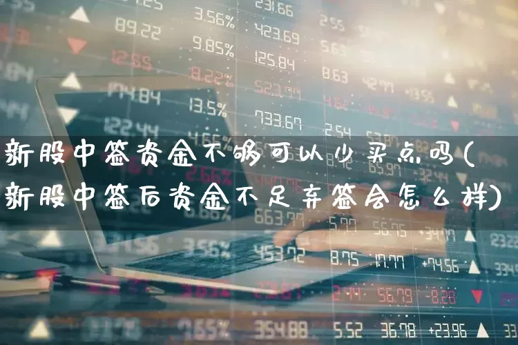 新股中签资金不够可以少买点吗(新股中签后资金不足弃签会怎么样)_https://www.wanyuyiyao.com_科创板_第1张