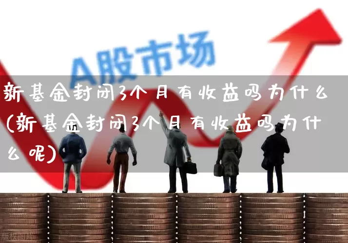新基金封闭3个月有收益吗为什么(新基金封闭3个月有收益吗为什么呢)_https://www.wanyuyiyao.com_深交所_第1张