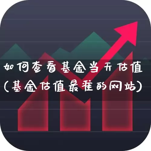 如何查看基金当天估值(基金估值最准的网站)_https://www.wanyuyiyao.com_科创板_第1张
