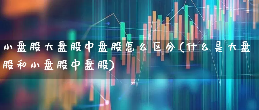 小盘股大盘股中盘股怎么区分(什么是大盘股和小盘股中盘股)_https://www.wanyuyiyao.com_北交所_第1张
