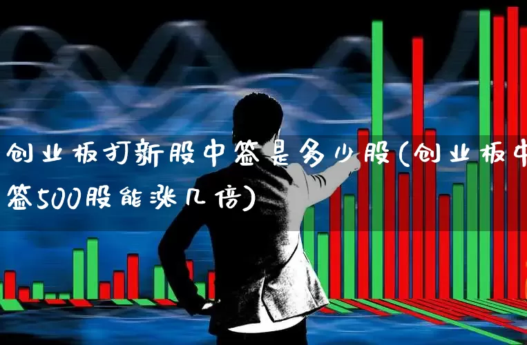 创业板打新股中签是多少股(创业板中签500股能涨几倍)_https://www.wanyuyiyao.com_创业板_第1张