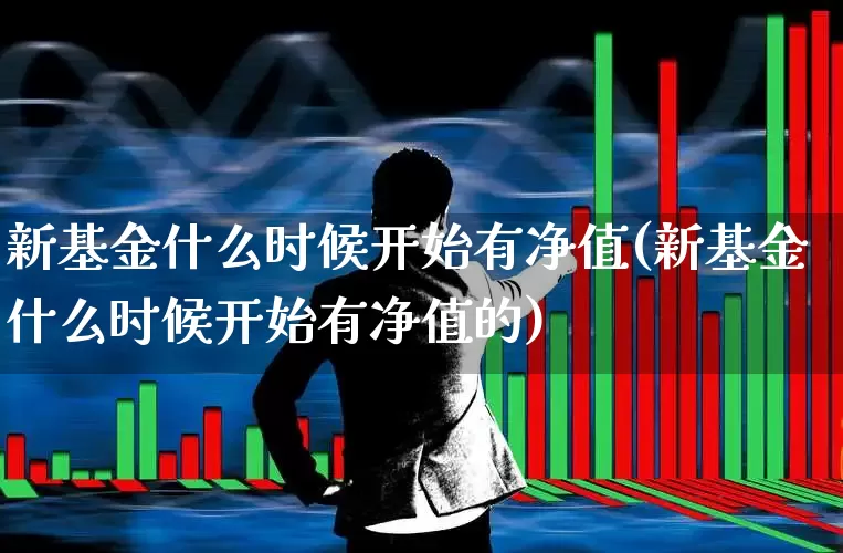 新基金什么时候开始有净值(新基金什么时候开始有净值的)_https://www.wanyuyiyao.com_上交所_第1张