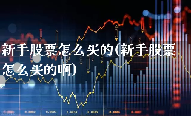 新手股票怎么买的(新手股票怎么买的啊)_https://www.wanyuyiyao.com_上交所_第1张