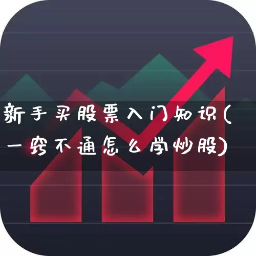 新手买股票入门知识(一窍不通怎么学炒股)_https://www.wanyuyiyao.com_创业板_第1张