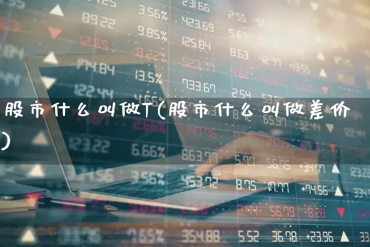 股市什么叫做T(股市什么叫做差价)_https://www.wanyuyiyao.com_深交所_第1张