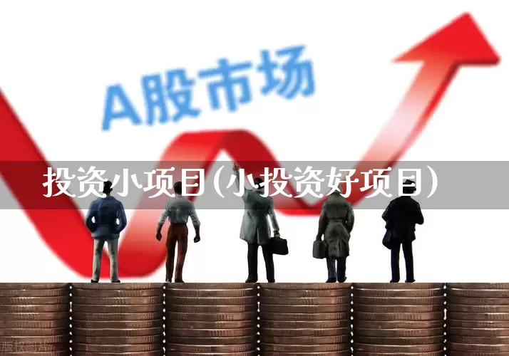 投资小项目(小投资好项目)_https://www.wanyuyiyao.com_科创板_第1张