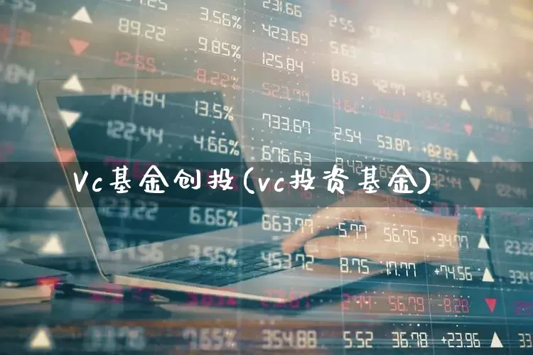 Vc基金创投(vc投资基金)_https://www.wanyuyiyao.com_创业板_第1张