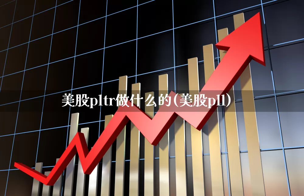 美股pltr做什么的(美股pll)_https://www.wanyuyiyao.com_创业板_第1张