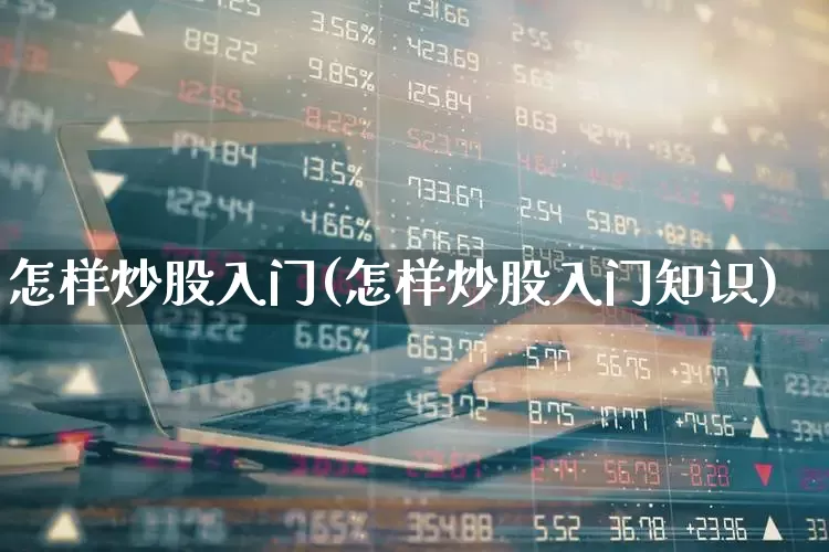 怎样炒股入门(怎样炒股入门知识)_https://www.wanyuyiyao.com_北交所_第1张