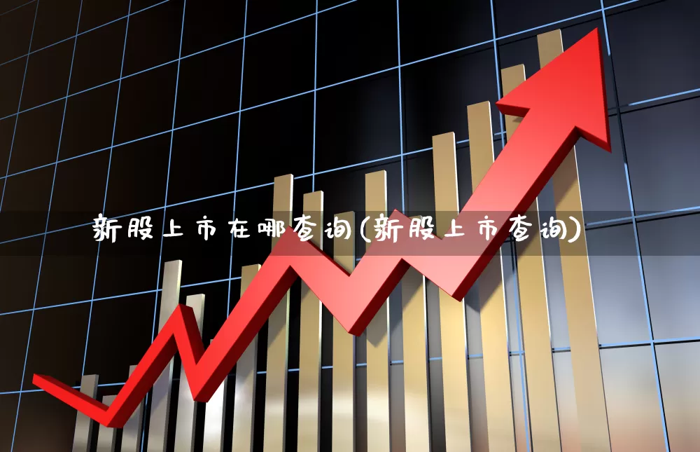 新股上市在哪查询(新股上市查询)_https://www.wanyuyiyao.com_科创板_第1张
