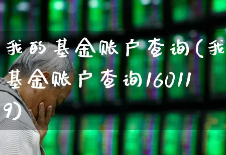 我的基金账户查询(我的基金账户查询160119)_https://www.wanyuyiyao.com_上交所_第1张