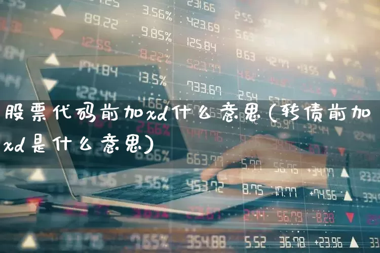 股票代码前加xd什么意思(转债前加xd是什么意思)_https://www.wanyuyiyao.com_上交所_第1张