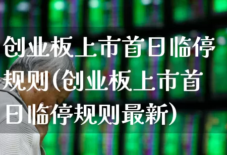 创业板上市首日临停规则(创业板上市首日临停规则最新)_https://www.wanyuyiyao.com_深交所_第1张