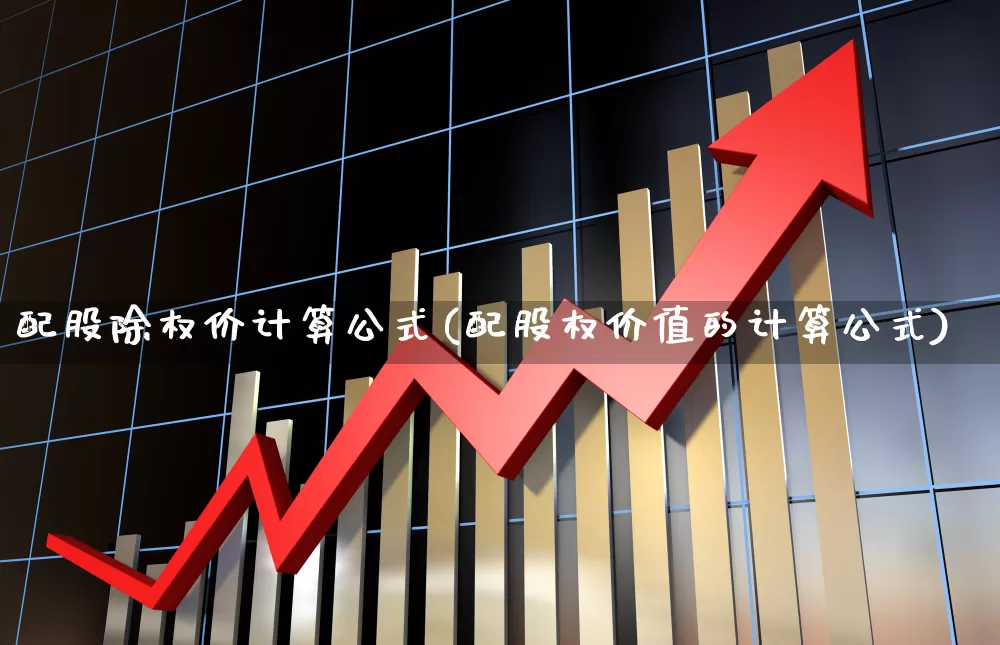 配股除权价计算公式(配股权价值的计算公式)_https://www.wanyuyiyao.com_北交所_第1张