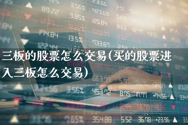 三板的股票怎么交易(买的股票进入三板怎么交易)_https://www.wanyuyiyao.com_创业板_第1张