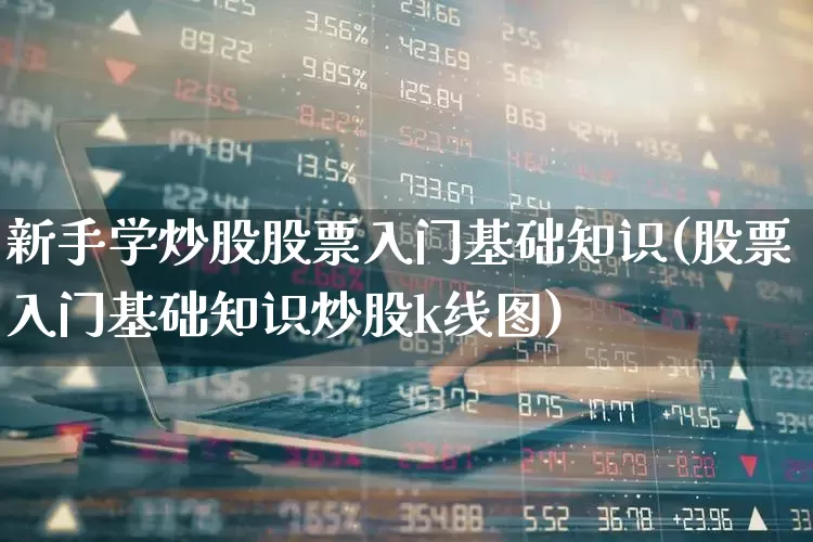 新手学炒股股票入门基础知识(股票入门基础知识炒股k线图)_https://www.wanyuyiyao.com_科创板_第1张