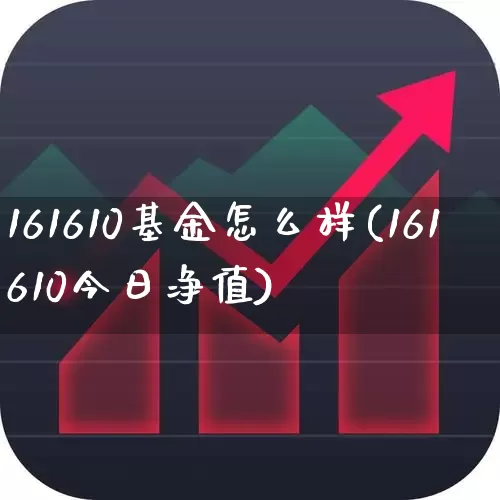 161610基金怎么样(161610今日净值)_https://www.wanyuyiyao.com_科创板_第1张