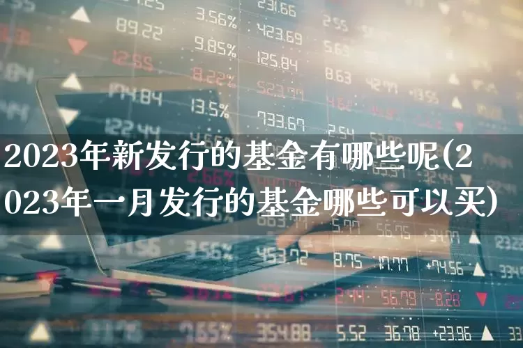2023年新发行的基金有哪些呢(2023年一月发行的基金哪些可以买)_https://www.wanyuyiyao.com_上交所_第1张